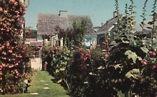 Vintage Postcard Old Fashioned Flower House Garden Provincetown Massachusetts MA picture