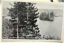 WISCONSIN FLORENCE RPPC SEA LION LAKE 1950 picture