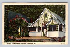 Coudersport PA-Pennsylvania, Entrance to Ice Mine and Gift Shop Vintage Postcard picture