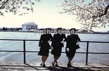 WW2 Picture Photo 1943 Woman US WAVES overseeing the Jefferson Memorial 7276 picture