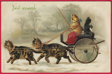Vtg Anthropomorphic Cats Driving Carriage Maguire Antique PC UDB Rare c1902 picture