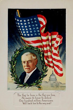 Patriotic: Embossed, Campaign for President Woodrow Wilson, American Flag Pre-20 picture