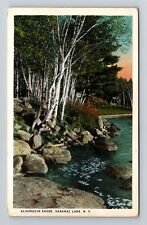 Saranac Lake NY-New York, Algonquin Shore, Scenic View, Vintage Postcard picture
