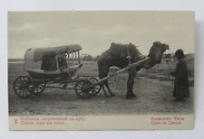 c1910 Armenian RPPC Postcard Caucasus Types Camel Cart Bedouin Desert picture