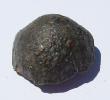 6.10 grams NWA 869 Meteorite (class L3-6 ) as found individual with a COA picture