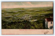 c1905 Bird's Eye View Of Stamford New York NY Unposted Antique Postcard picture