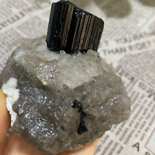 342G  Natural Black Tourmaline Quartz Crystal Mineral Specimens Healing picture