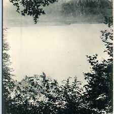 c1910s Switzerland Chillon Castle Mount Grammont Litho Photo Postcard Geneva A28 picture