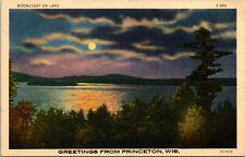 Vtg 1930s Moonlight on Lake Greetings from Princeton Wisconsin WI Postcard picture