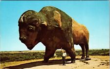 Jamestown ND-North Dakota, Largest Buffalo, Vintage Postcard picture