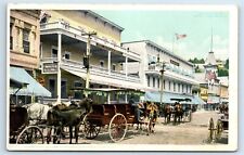 Postcard New Mackinac and New Murray Hotels, Mackinac Island MI J130 picture