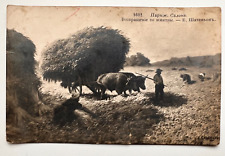 1900s Vintage postcards Harvest Ukrainian village Wheat Bulls People picture