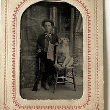 Antique Tintype Photograph Adorable Little Boy White Pitbull Dog Rifle Gun picture