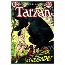 Tarzan (1972 series) #216 in Very Fine condition. DC comics [s; picture