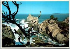 Postcard - Cypress Cove, Point Lobos State Reserve - Carmel, California picture