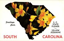 Greetings from South Carolina Yellow Jassamine Flower Vintage Postcard picture