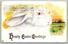 Antique Hearty Easter Greetings Postcard White Bunny Pink Eyes in Meadow J5 picture