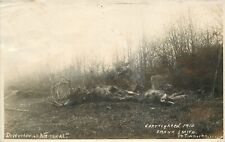 Postcard 1911 mountain lion dead deer Disturbed during meal Smith 23-2578 picture