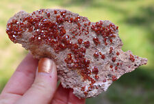 Vanadinite Lustrous Bright Red Crystals On Matrix Morocco  12.5 Cms :} picture