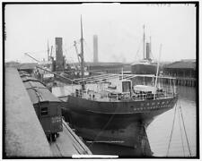 Steamship docks, Savannah, Georgia c1900 OLD PHOTO picture