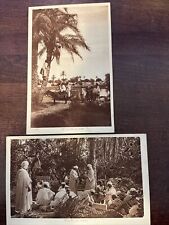 Vintage North Africa Postcards  picture