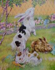 Vintage Rabbits Bunnies Print Rex 1939 Children Book Illustration Victor Becker  picture