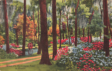 Jacksonville FL Florida, Hydrangea Time Oriental Gardens, Vintage Postcard picture