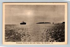 St John-New Brunswick, Picturesque Entrance St John's Harbor, Vintage Postcard picture