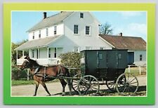 Nappanee Indiana Amish Acres Horse and Covered Buggy Postcard picture