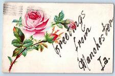 Manchester Iowa IA Postcard Greetings Thorn Rose Flower And Leaves 1908 Antique picture