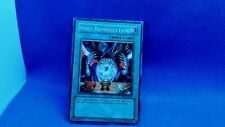 DR1-EN245 SPELL REPRODUCTION nm 2006 picture