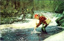 Stanton, MI Michigan FISHERMAN GREETINGS Fishing/Stream MONTCALM COUNTY Postcard picture