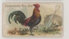 1907 Philadelphia Caramel Zoo Chickens E31 Derbyshire Red Cap z6d picture