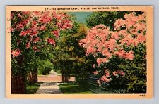 San Antonio TX-Texas, Crepe Myrtle, c1970 Antique Vintage Souvenir Postcard picture