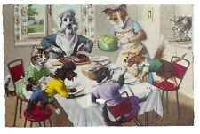 Alfred Mainzer Cats Postcard Belgium Anthropomorphic Dog Dinner Table Mayhem picture