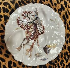 Antique Sea Life OYSTER PLATE 19th Century Haviland & Co. Limoges picture