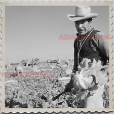 50s PHOENIX CITY MARICOPA COUNTY ARIZONA LETTUCE MAN FARM OLD USA Photo 11686 picture