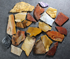 PJ: Mixed Lot of Slabs - Jasper, Agate and More  2 Lbs picture