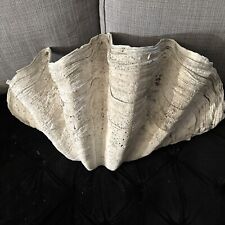 Giant Clam Shell Tridacna Gigas  27x16x10 30 Lbs picture
