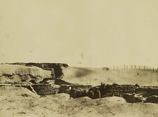 British Expeditionary Force Egypt Gaza Trenches 1917 8x10 World War I WW1 Photo picture