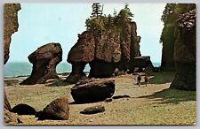 Hopewell Cape New Brunswick Canada Rocks Scenic Landmark Chrome Postcard picture