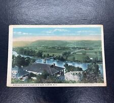 Postcard NY Elmira New York Birdseye View of Rorick's Glen Amusement Park 1919 picture