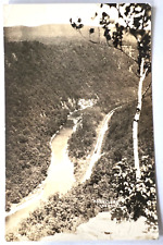 RPPC Postcard Pennsylvania Grand Canyon Harrison's Lookout Tioga Forest B1 picture