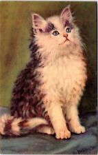 c1940's, cute kitten, cat, sweet card, Lincolnville, ME, WWII era picture