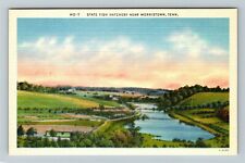 Morristown TN-Tennessee State Fish Hatchery Vintage Souvenir Postcard picture