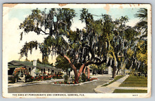 c1930s Oaks Pomegranate Commerce Sebring Florida Vintage Postcard picture