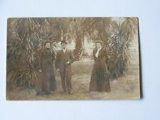 Sanford Florida FL RPPC Real Photo Early 1900's Palms picture