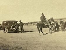 M9 Photograph 1910-20's Cowboys Horse Donkeys Mules Old Car  picture