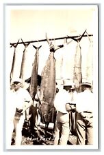 RPPC Giant Fish Caught at Port Isabel Texas TX UNP Postcard V6 picture