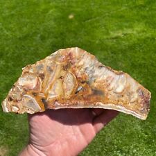 Large Liberty Ledge Brecciated Agate Slab 350gm (S51) picture